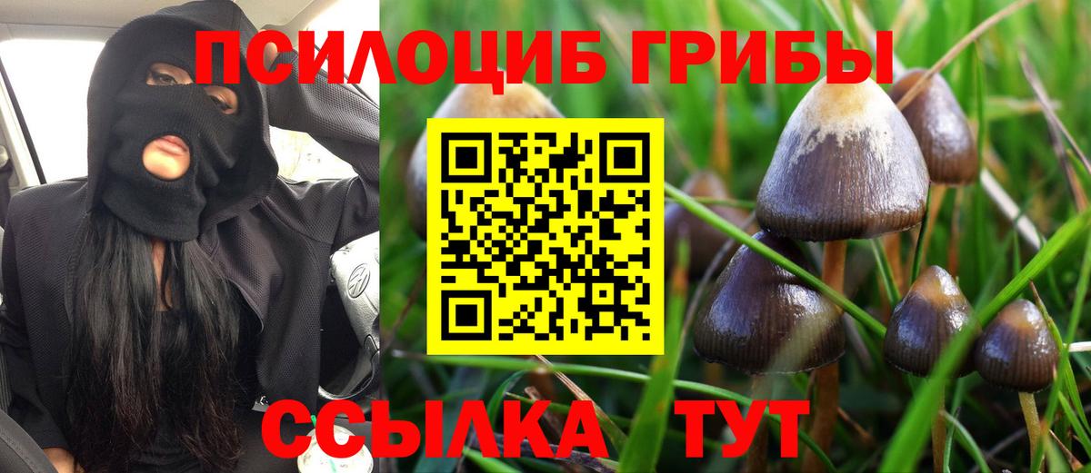 Галлюциногенные грибы Cubensis  Галлюциногенные грибы мухоморы  Вход с VPN  Россия 