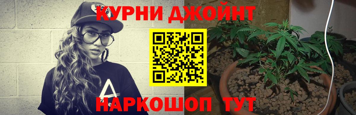 Россия  Бошки Шишки LSD WEED  МАРИХУАНА Ganja  МАРИХУАНА White Widow  Вход с VPN  Бошки Шишки AK-47 